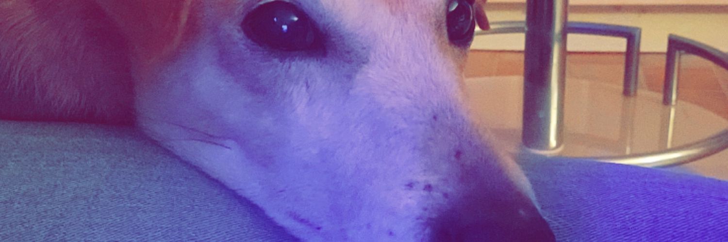 JorreBryan's profile banner image