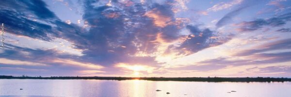 anthkaye Profile Banner