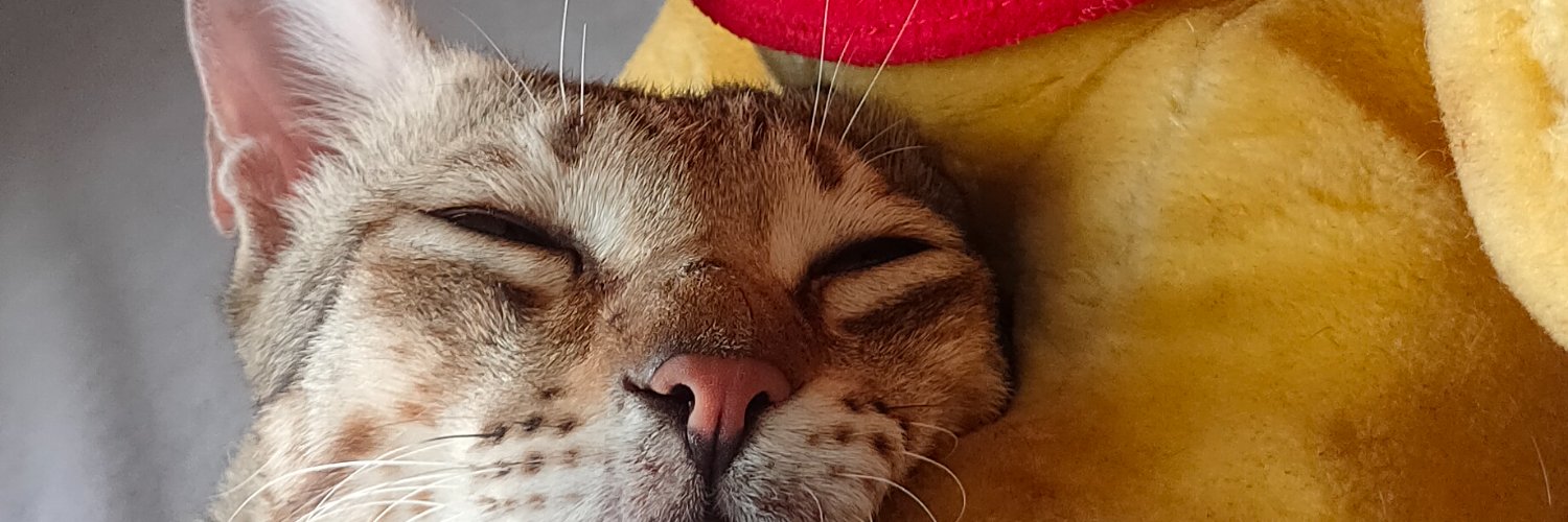 ସମ୍ବିତ ପ୍ରଧାନ banner