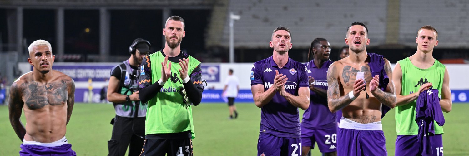 Labaro Viola Fiorentina banner