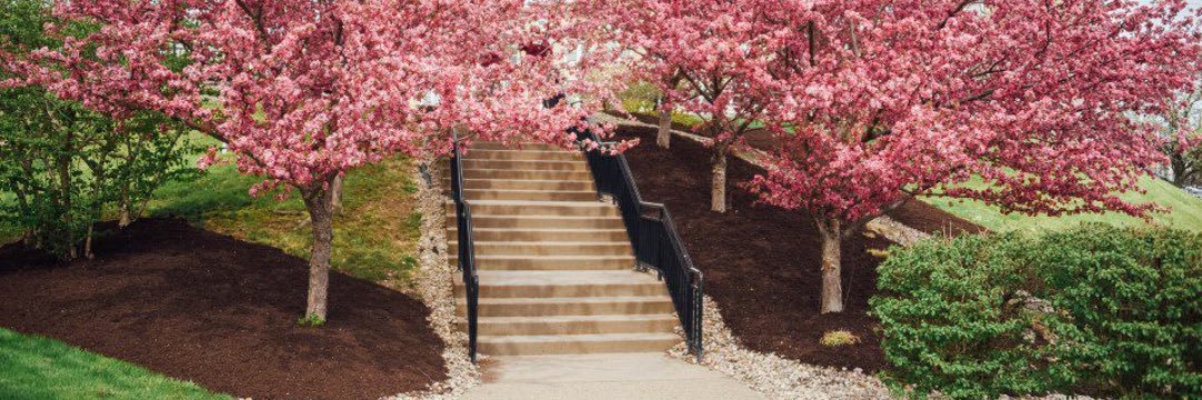 Theresa Twigg banner