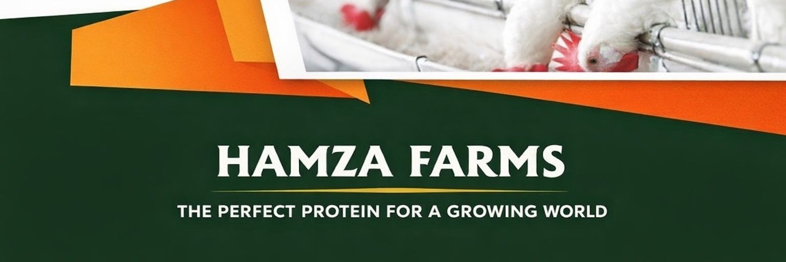 Hamza 🇳🇬🇸🇩 banner