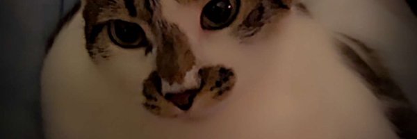 HighforIYOSKY Profile Banner