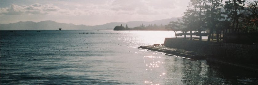 twit_natasha's profile banner image