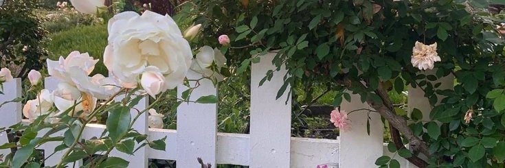 roxsymist's profile banner image