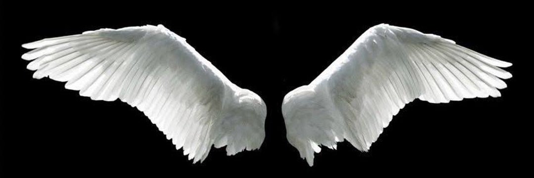 Soail_Jk's profile banner image