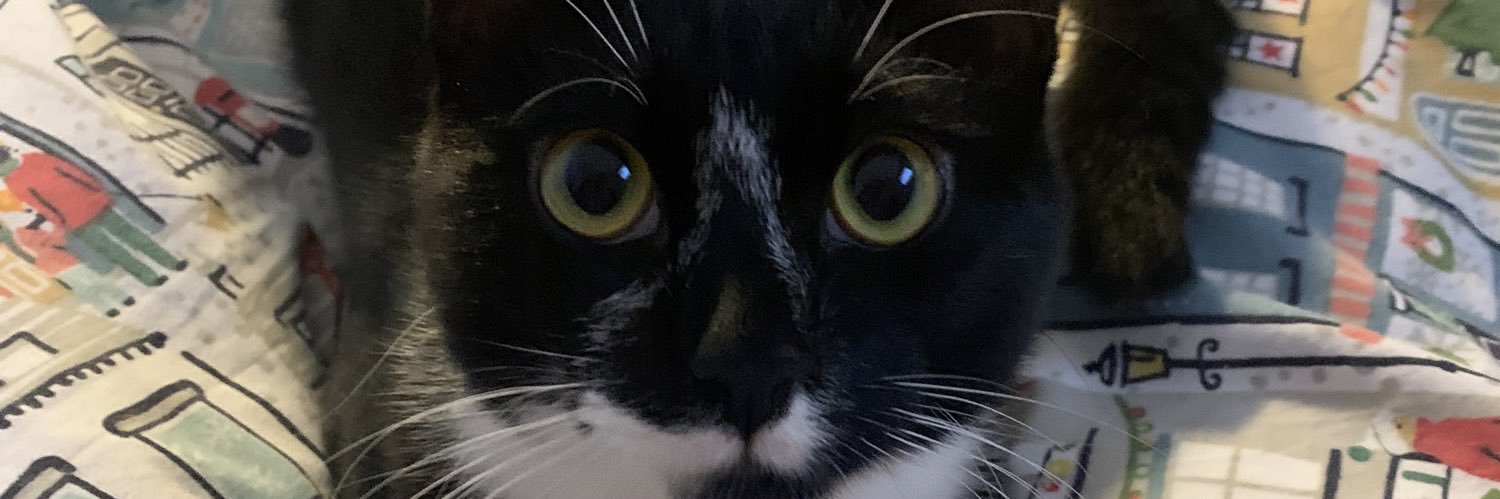chloerow2's profile banner image