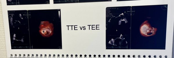 NMerke Profile Banner