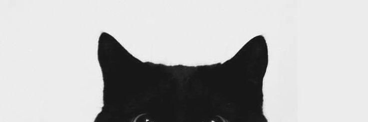 Juliauwld2's profile banner image