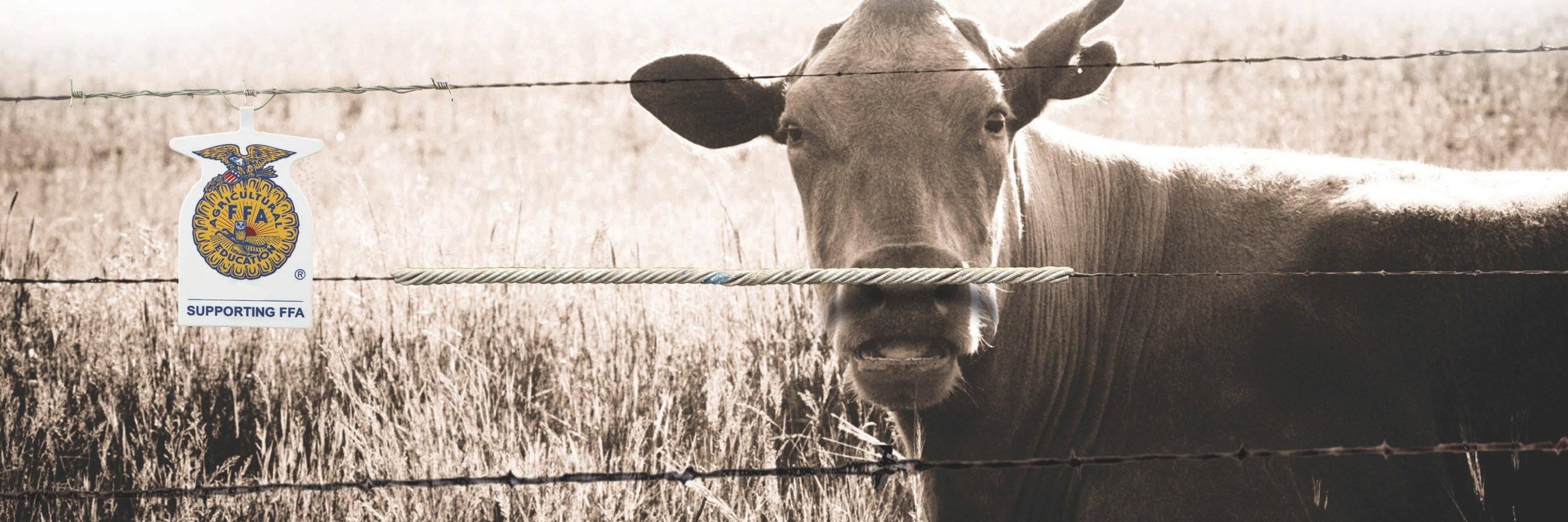 Ranchmate's profile banner image