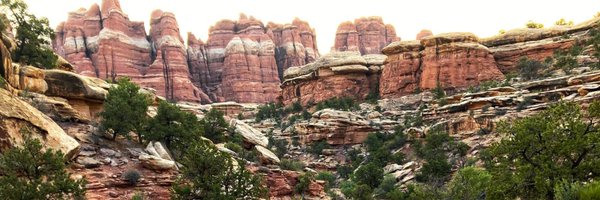 geomariyo Profile Banner