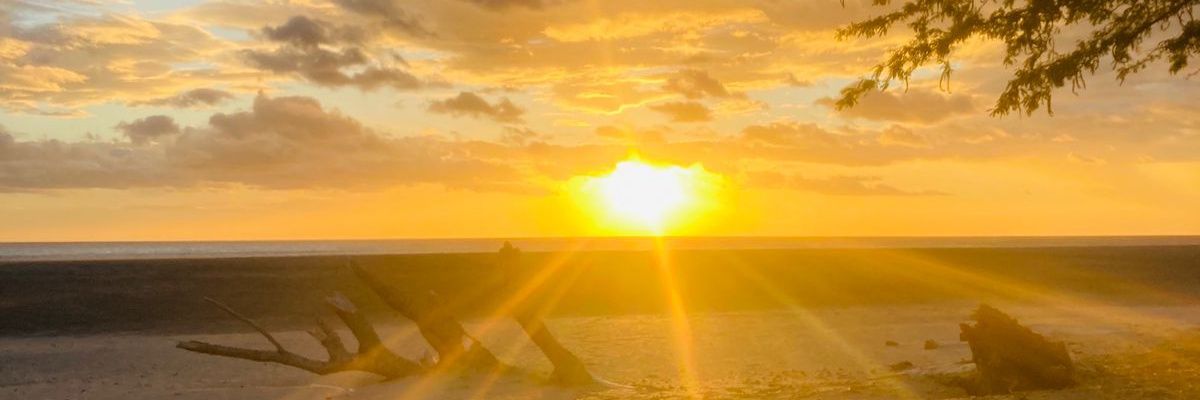 vikerfit's profile banner image