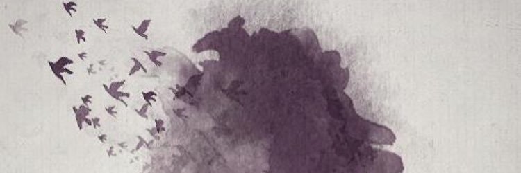 aalmoootert6's profile banner image