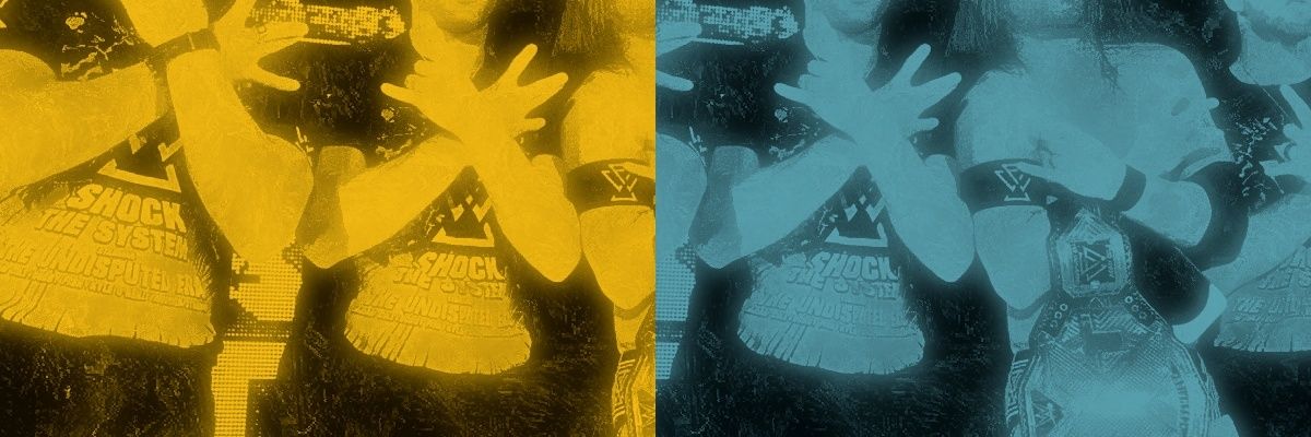 NXTCHMPNSHP's profile banner image