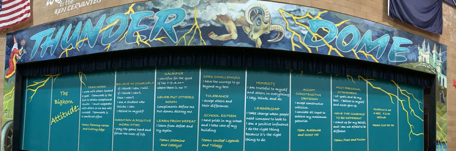 Billinghurst Middle School banner