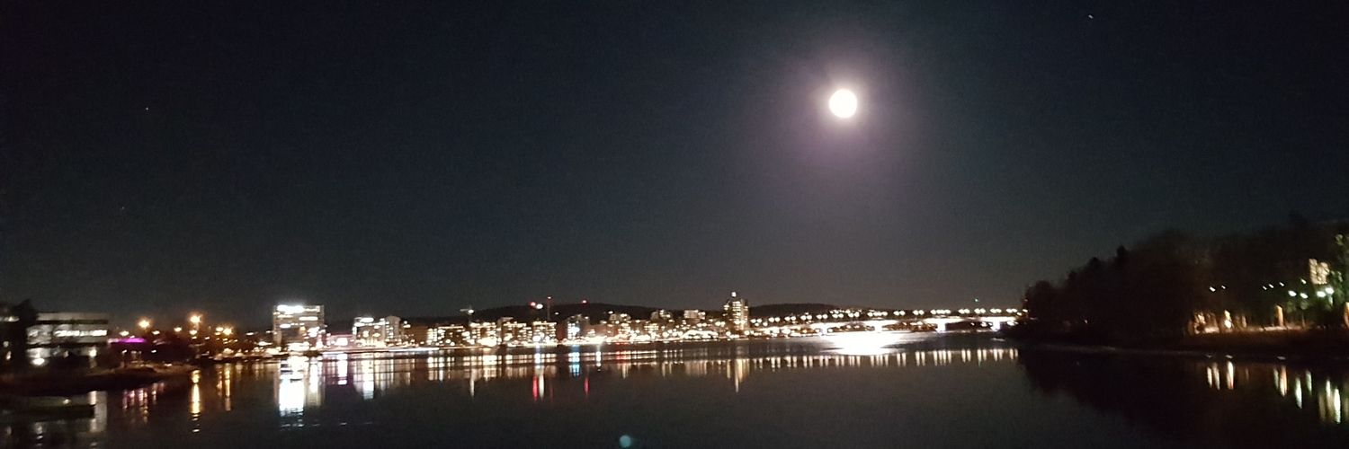 laitisentimo's profile banner image