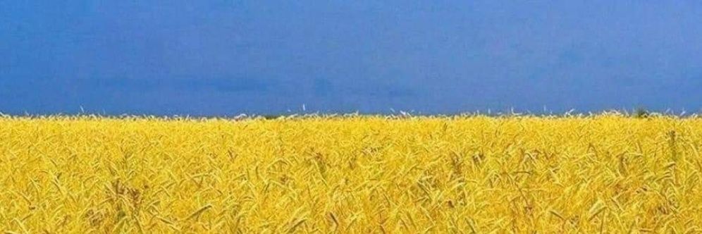 MJB ☮️🌻🇺🇦🌻🌈 🟦🇺🇸🦅 banner