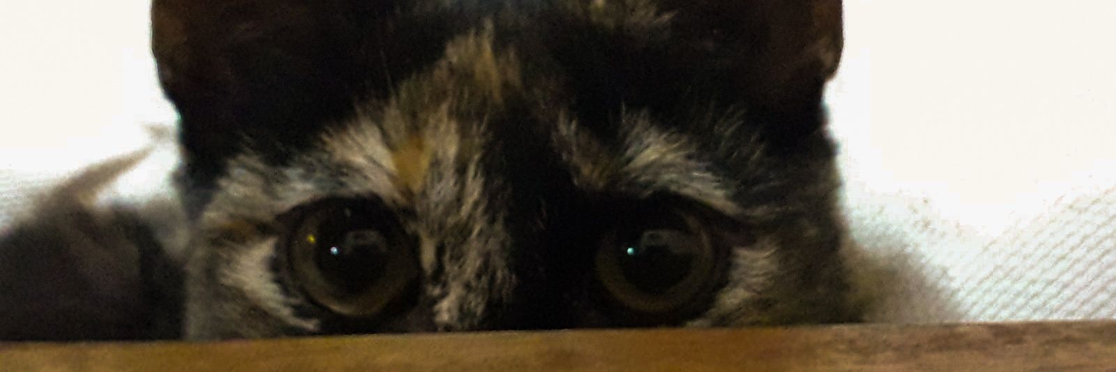 saamuelv_'s profile banner image