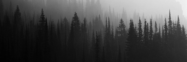 Loooouder's profile banner image