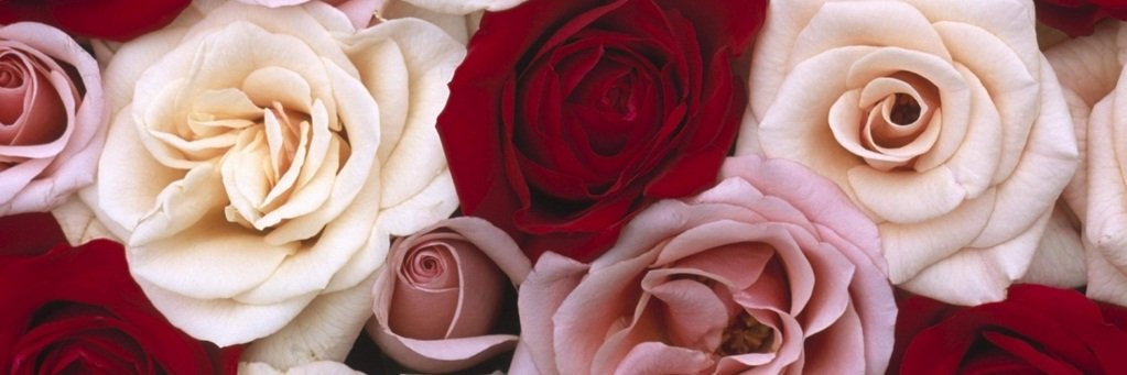 ApriliaMS's profile banner image
