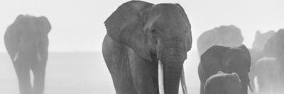 Lorena Medeiros banner