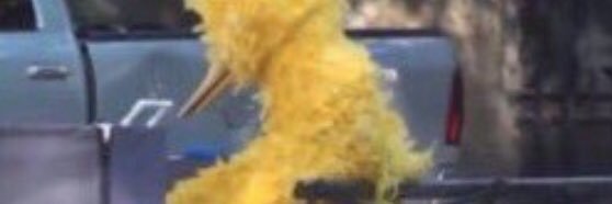 AUSTENP0WERZ's profile banner image