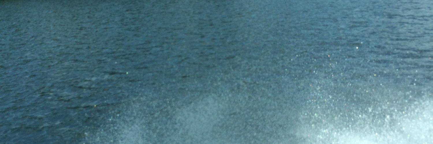 aselvia's profile banner image