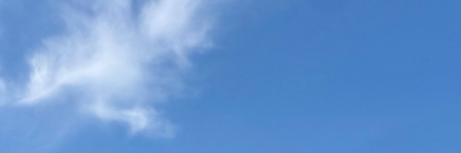 thecoconutman_'s profile banner image