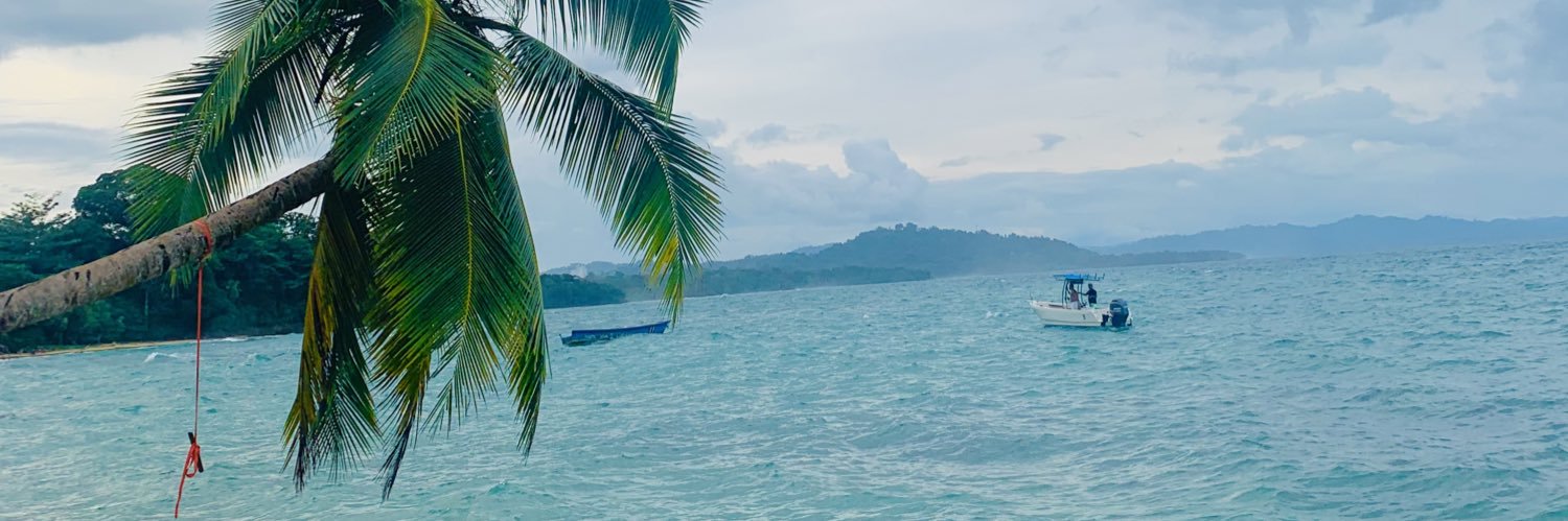 ashley🏌🏼‍♀️ banner