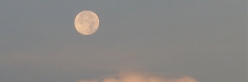 saruh banner