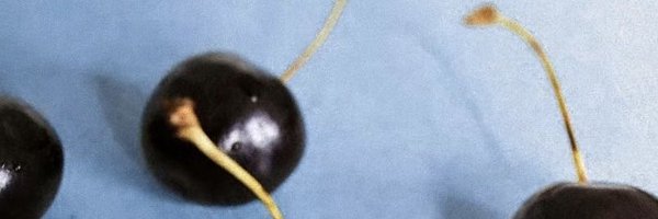 ywqwth Profile Banner