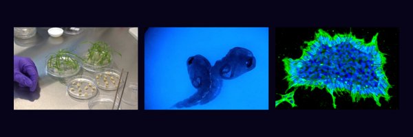 TIGS_India Profile Banner