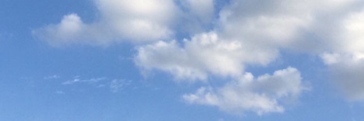 ʕ•ᴥ•ʔ banner