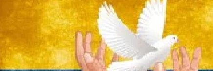 #EmpresariosRefugiadosExterior banner