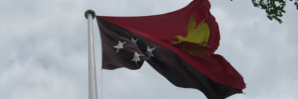 PNGDF banner
