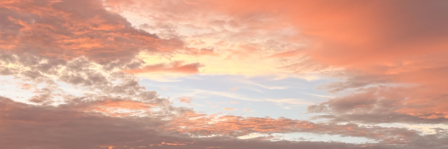 Ray_3 banner