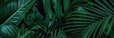 MikeRecharge's profile banner image