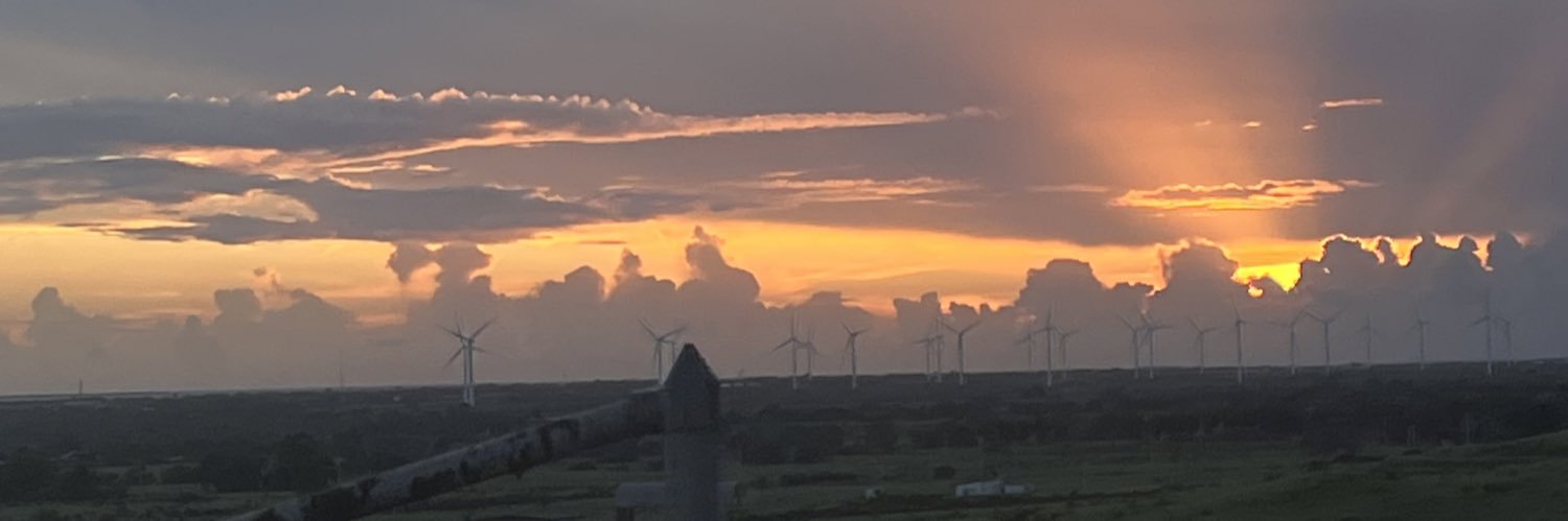 ylinnp's profile banner image