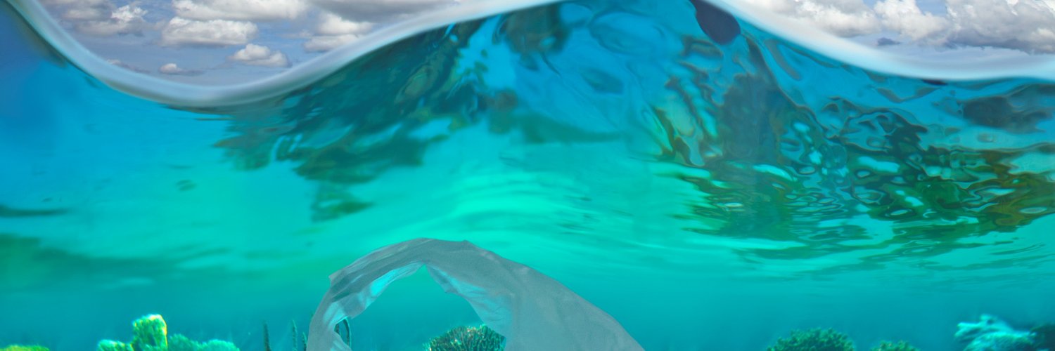 Global Plastic Action Partnership banner