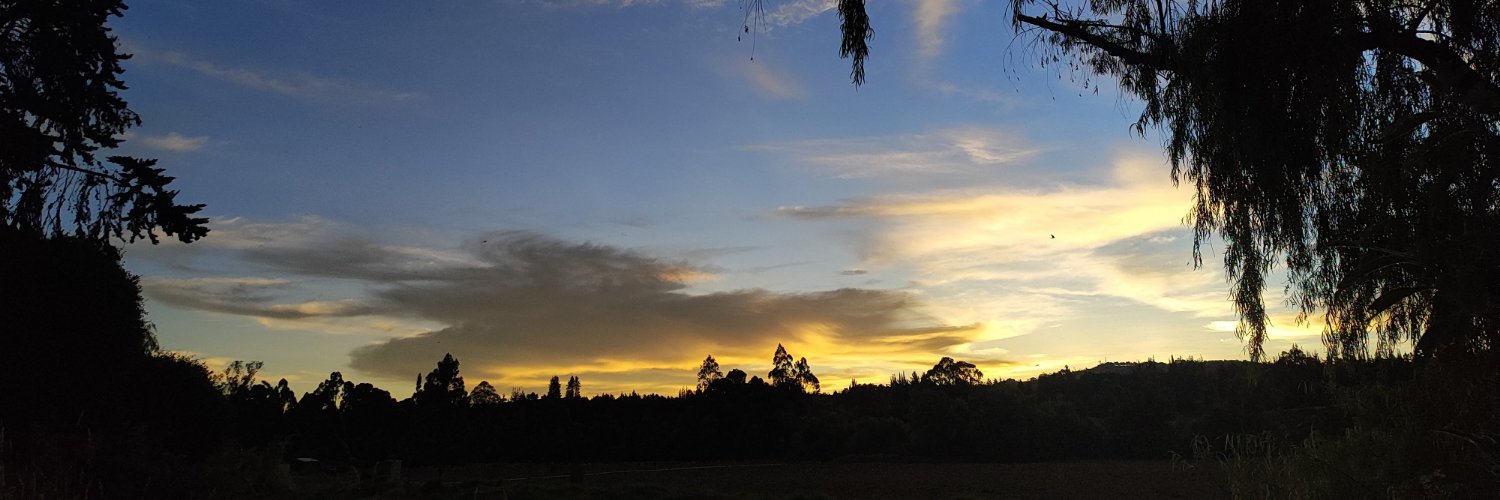 Sri_203's profile banner image