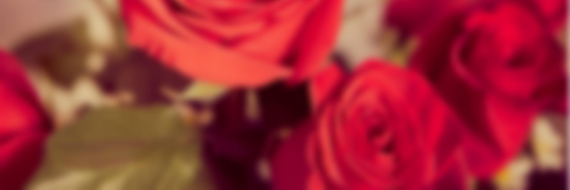 LillyMichalkova's profile banner image