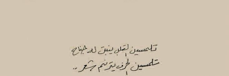 🦋. banner