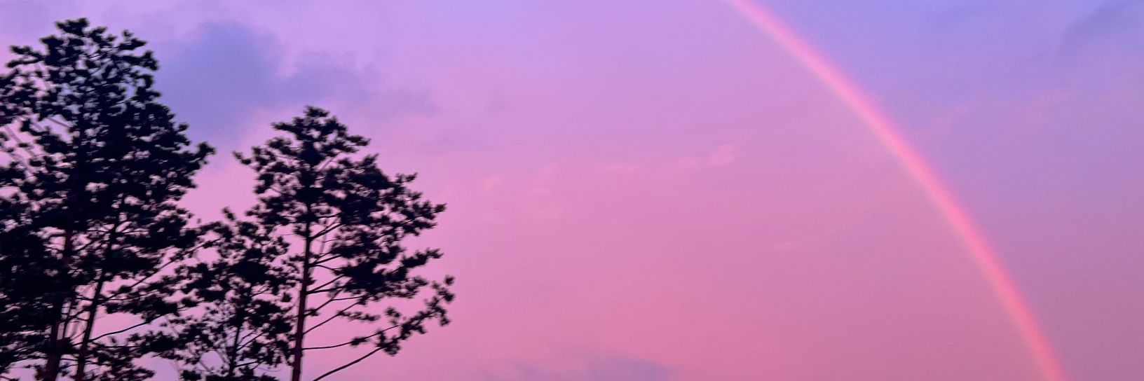 sesa banner