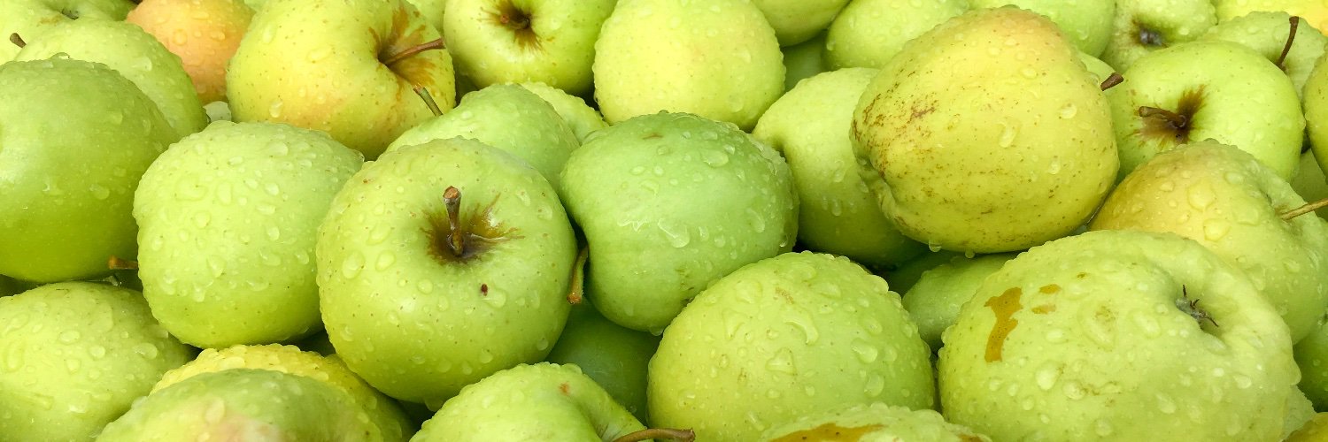BeesFruitWatch's profile banner image