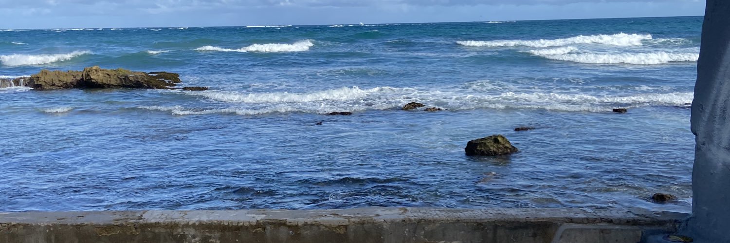 Grandpa George 🇵🇷 Aqui naci ! banner