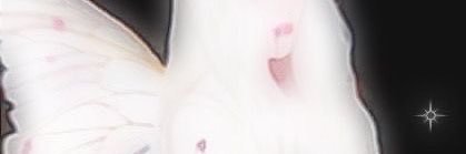 𓐄 banner