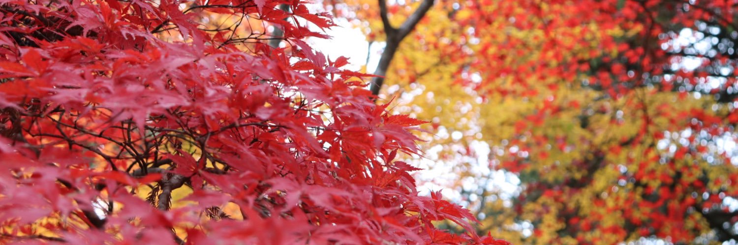 nae_0127's profile banner image