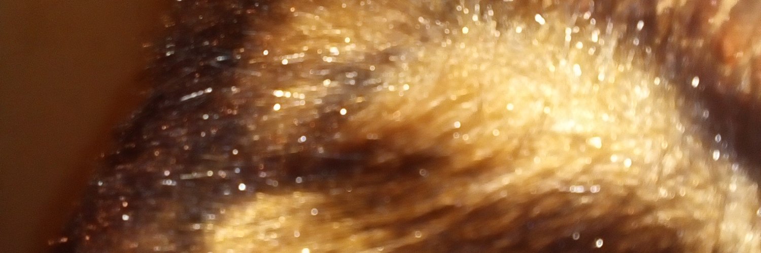 mackmackushev's profile banner image