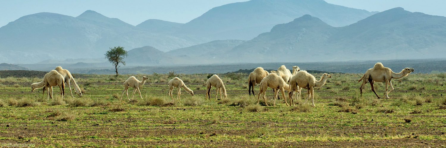 💙 محمد العالمي 💛 banner