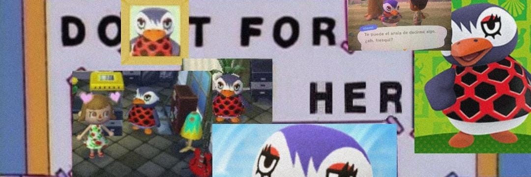 Mäjoras / Dorime banner